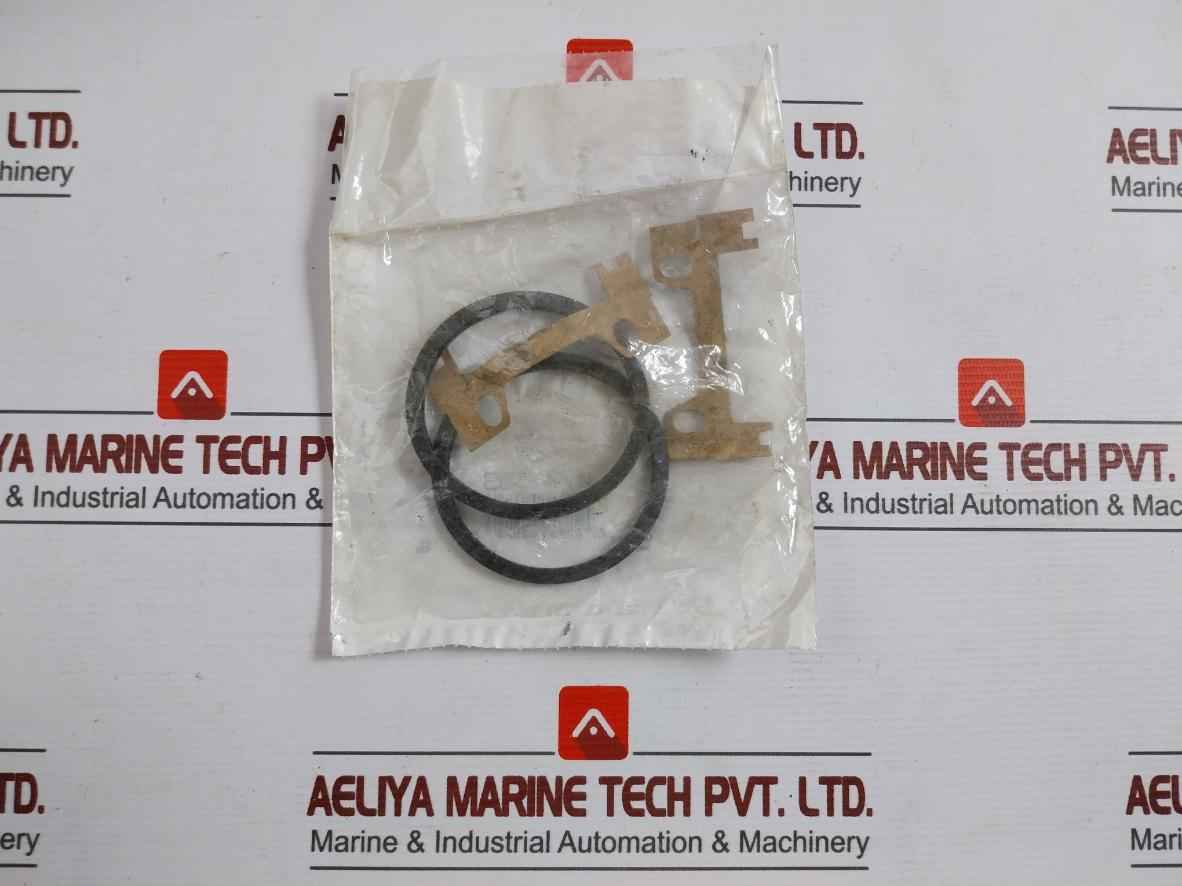 Falk 1050T10 Cover Grid Assembly Seal Kit - Image 10