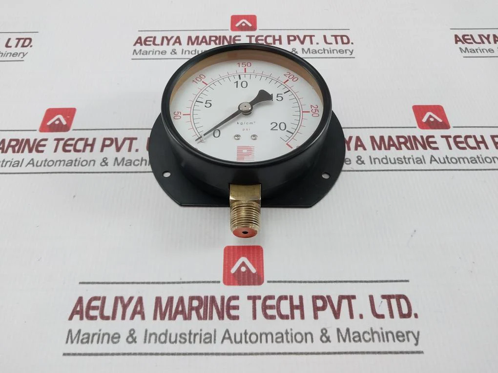 Pro-Instrument 0-20 Kg/Cm2 Pressure Gauge 0-300 Psi - Image 4