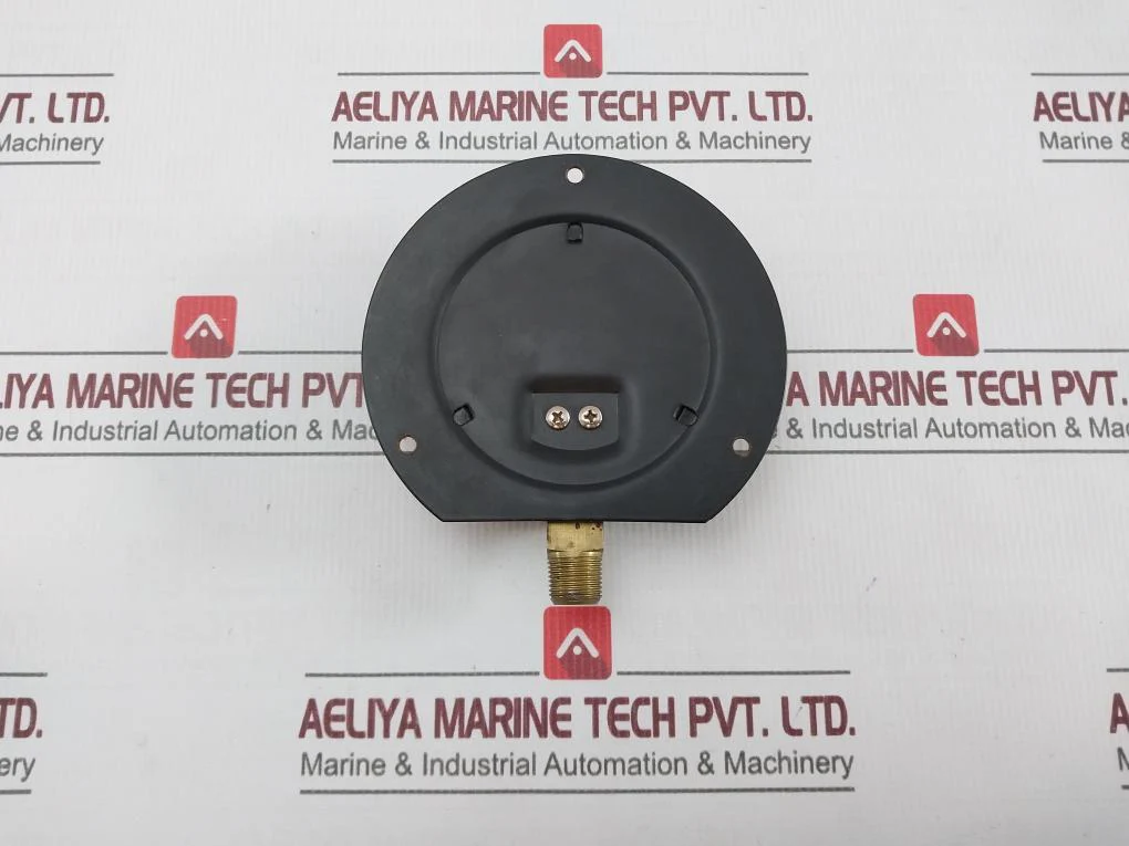 Pro-instrument 0-20 Kg/Cm2 Pressure Gauge 0-300 Psi. - Image 2
