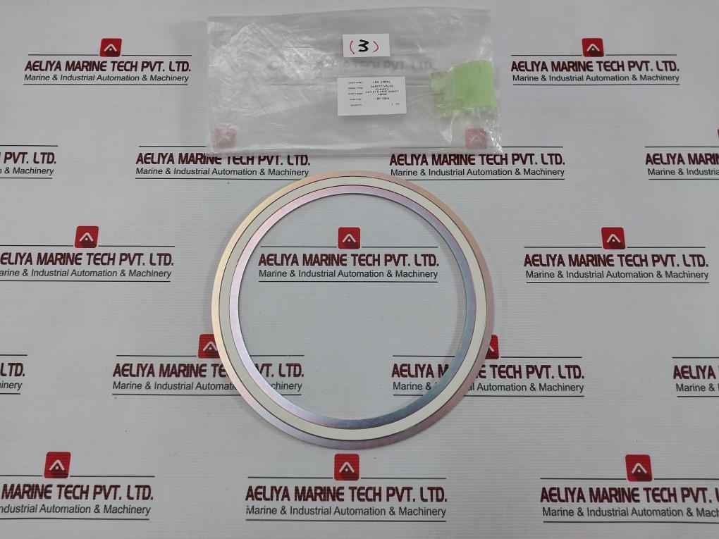 Valqua Vn 10K-200 Ctf Outlet Flange Gasket - Image 2